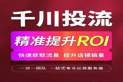 某电商平台信息流广告的精准推广策略